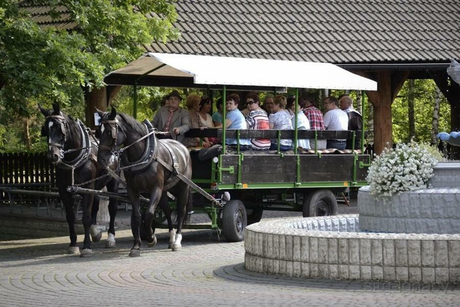 Hôtel Park Lesny 'U Kaczyny' à Rogow Extérieur photo