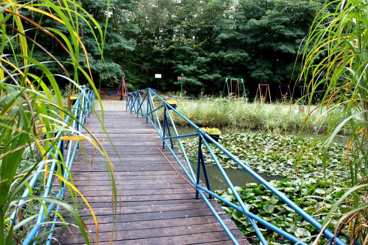 Hôtel Park Lesny 'U Kaczyny' à Rogow Extérieur photo